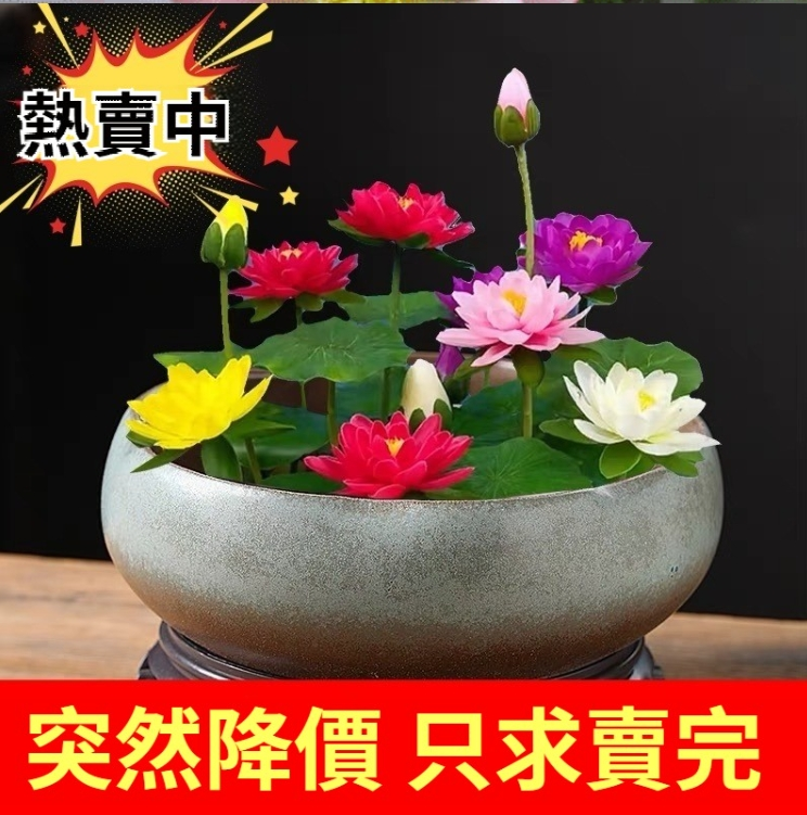 1749201954642712.png