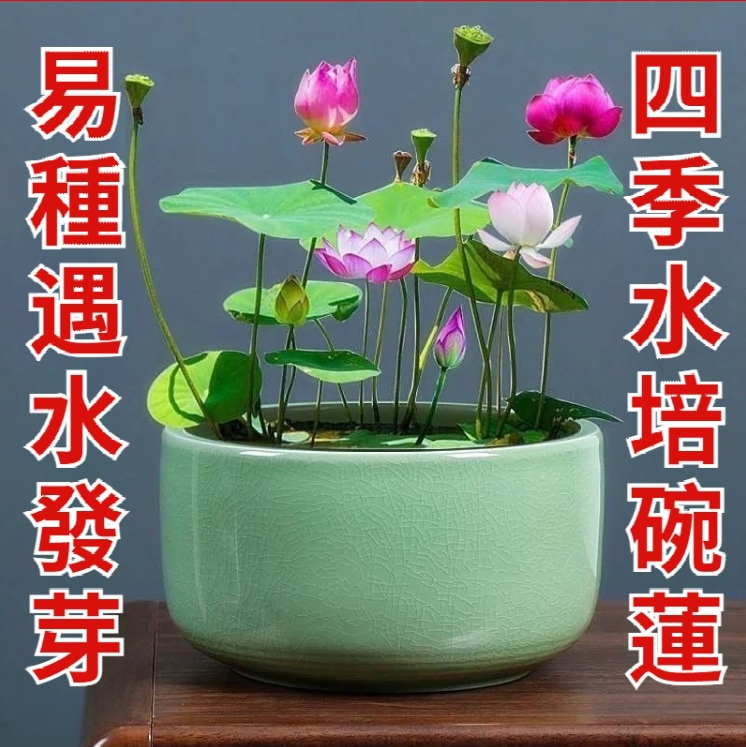 1749201955557621.png