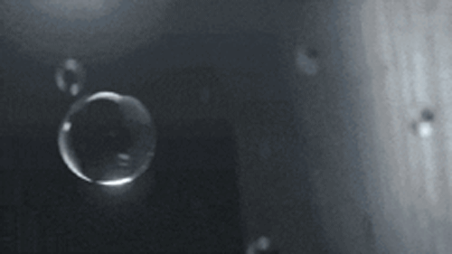 1749203255278178.gif